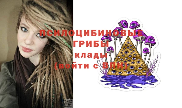 прущая мука Алзамай