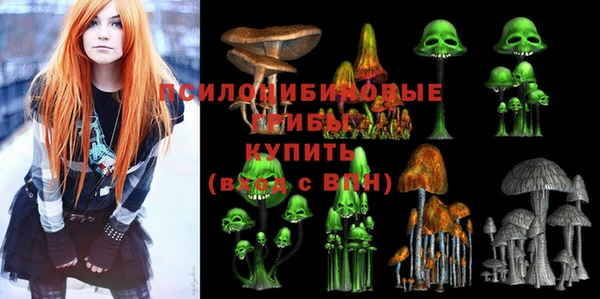 прущая мука Алзамай